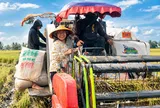 Kỹ sư Võ Thị Ngọc: Gieo những hạt giống mới từ tình yêu đồng ruộng