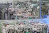 Quy định về sinh con bằng kỹ thuật hỗ trợ sinh sản và điều kiện mang thai hộ vì mục đích nhân đạo