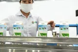 Lợi nhuận lao dốc, Mộc Châu Milk vẫn chi mạnh cho dự án nghìn tỷ