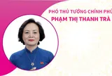 INFOGRAPHICS: Tiểu sử tân Phó Thủ tướng Chính phủ Phạm Thị Thanh Trà