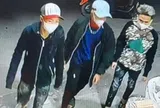 Bắt bộ 3 đeo khẩu trang đi cướp ở Hải Phòng và Hưng Yên
