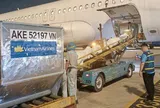 Gần 500kg hàng hóa hỗ trợ vùng lũ đã được Vietnam Airlines vận chuyển đến Huế