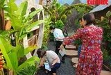 Sốt xuất huyết tăng cao, TP Hồ Chí Minh 'căng mình' xử lý ổ dịch ngay từ khu phố