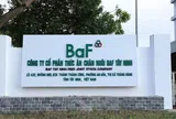 Lãi quý 3 giảm 66%, BaF (BAF) điều chỉnh 1.000 tỷ trái phiếu, xoay 330 tỷ trả nợ ngân hàng
