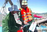 Quảng Trị: Niêm phong tàu cá không đủ điều kiện hoạt động