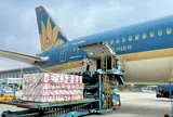 Vietnam Airlines vận chuyển miễn phí hàng hóa hỗ trợ đồng bào vùng lũ miền Trung
