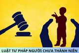 Nhiệm vụ, quyền hạn của Hội đồng quốc gia về tư pháp người chưa thành niên