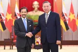 Tổng Bí thư Tô Lâm tiếp Quốc vương Brunei Darussalam Haji Hassanal Bolkiah