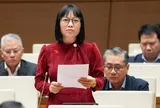 Từ phát biểu của đại biểu quốc hội Nguyễn Thị Việt Nga