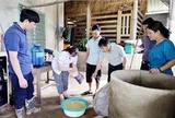 Xử lý nhanh điểm ô nhiễm để ngăn chặn dịch bệnh sau thiên tai