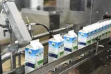 Lợi nhuận Mộc Châu Milk chạm đáy 5 năm