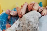 1.000kg chân lợn bốc mùi, 220kg xúc xích đông lạnh vừa bị thu giữ