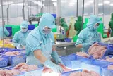 Triển vọng tích cực cho xuất khẩu cá tra của Việt Nam sang Canada