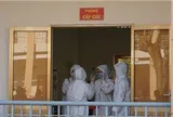 TP Hồ Chí Minh tăng cường phòng, chống nguy cơ xâm nhập virus Nipah