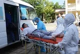Virus Nipah không dễ lây như COVID-19 nhưng vẫn cần chủ động phòng ngừa