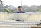 Vào vụ Tết, làng miến gạo xứ Thanh "quay cuồng" không ngủ
