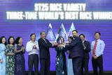 ST25 – Hạt gạo Việt Nam 3 lần chinh phục 'ngôi vương' thế giới