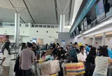 Gần 160.000 lượt khách đổ về Sân bay Tân Sơn Nhất, chưa hạ nhiệt sau cao điểm Tết