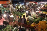 Đêm không ngủ tại chợ hoa Tết lớn nhất Hà Nội