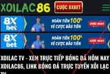 Vụ Xôi Lạc TV: Nhiều nhân viên có trình độ đại học, thạc sĩ, rất giỏi công nghệ