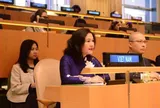 Việt Nam cam kết thúc đẩy quyền tiếp cận công lý của phụ nữ tại LHQ