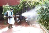 Phát hiện sớm và xử lý kịp thời, triệt để ổ dịch sốt xuất huyết, không để lây lan
