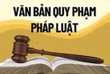 Chính phủ thống nhất nội dung Đề án về tổng rà soát hệ thống văn bản quy phạm pháp luật
