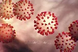 Giới chuyên gia nhận định mức độ nguy hiểm của biến thể mới virus SARS-CoV-2