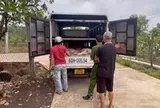 Triệt phá đường dây mua bán lợn giống không rõ nguồn gốc