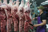 Tp.HCM: Tăng cường kiểm dịch, kiểm soát giết mổ động vật