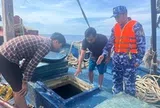 Cảnh sát biển bắt giữ tàu cá vận chuyển trái phép 40.000 lít dầu DO