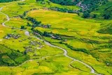 Lào Cai - Yên Bái sáp nhập, đã Sa Pa còn thêm Mù Cang Chải, đẹp ai chịu nổi?!