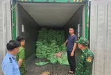 Quảng Ninh: Thu giữ hơn 25 tấn thực phẩm đông lạnh không rõ nguồn gốc