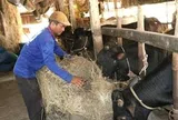 Mở rộng nguồn vốn hỗ trợ người dân