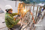 Trình bổ sung dự án Luật An toàn, vệ sinh lao động (sửa đổi) vào chương trình lập pháp