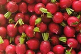 Loại củ được ví như “nhân sâm của người nghèo”, cứ ra chợ là thấy