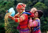 Đẩy mạnh thực hiện Chiến lược công tác dân tộc đến năm 2030, tầm nhìn đến năm 2045