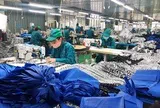 Chương trình phục hồi kinh tế có bị lạc hậu khi 'vấp' lực cản?
