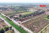 Đất nền giá rẻ trên đất nông nghiệp: Cẩn trọng mất tiền oan