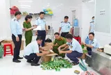 Triệt phá đường dây sản xuất hơn 27.000 chai dầu gió giả nhãn hiệu nổi tiếng