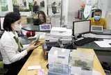 Ngân hàng Việt Nam: Từ 'con đường tiền tệ' đến trụ cột ổn định vĩ mô
