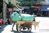 Người lao động oằn mình mưu sinh giữa “chảo lửa” miền Trung