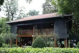 Để di sản về Bác luôn 'sống' trong lòng công chúng