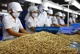Bộ NN&MT đề xuất bãi bỏ hơn 100 văn bản không còn phù hợp