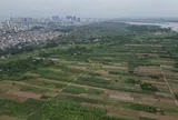 Bộ Nông nghiệp và Môi trường yêu cầu đăng tải công khai vi phạm đất đai