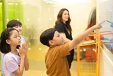 Doanh nghiệp quốc tế đẩy mạnh đào tạo tiếng Anh tại Việt Nam