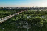Bổ sung mức xử phạt vi phạm hành chính trong phòng chống thiên tai, thủy lợi và đê điều
