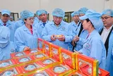 Đoàn Đại biểu cấp cao Viêng Chăn tham quan nhà máy yến sào SANVINEST Khánh Hòa