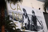 LHP Cannes 2026: Những ứng cử viên sáng giá cho Cành cọ Vàng và vết gợn bình đẳng giới