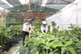 Những ‘cột mốc xanh’ ở Trường Sa